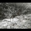2655063577的头像-Xyner