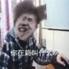 steamedbun的头像-Xyner