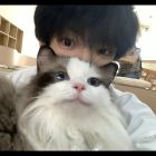 QQ头像