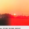 浙江网友91035
