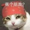 评论头像