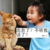 重庆网友20697