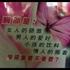 北京网友84151