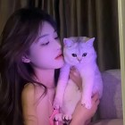 QQ头像