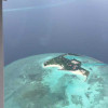 山东网友57497