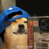 wwcwwc的头像-无忧免费游戏网