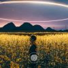 宁夏网友30997