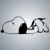 河南网友29239