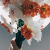 江苏网友56396