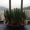 雨富j0