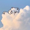 陕西网友70603