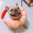 QQ头像