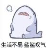 评论头像