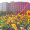 广西网友26821