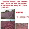 湖南网友66083