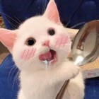 QQ头像