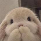 QQ头像