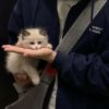 QQ用户_2826513656头像