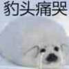 用