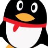 网友昵称：zfx100
