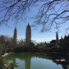 QQ头像
