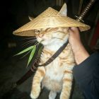 QQ头像
