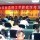香港网友89166