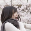 北京网友14708