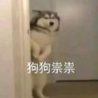 QQ头像