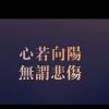 云南网友15813
