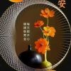 吉林网友34084