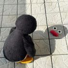 QQ头像