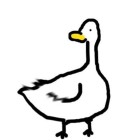 QQ头像
