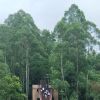湖南网友63321