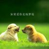 a2925354110的头像-无忧免费游戏网