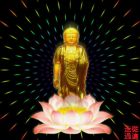 QQ头像