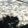 浙江网友96370