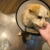 李洛麒从的头像-无忧免费游戏网