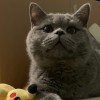 吉林网友76798