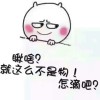 河北网友41495
