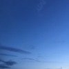 云南网友55436
