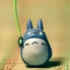 QQ头像
