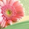 江西网友16485