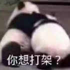 QQ头像