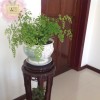 江西网友47163