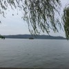 宁夏网友84227