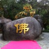 青海网友11030