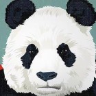 QQ头像