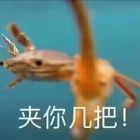 QQ头像