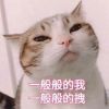 风富界k